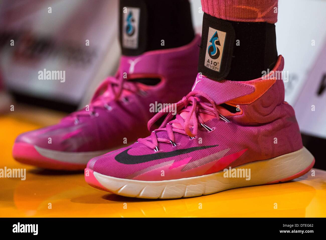 Knoxville, TN, USA. 16th Feb, 2014 