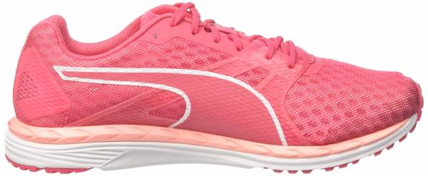 paradise pink puma white