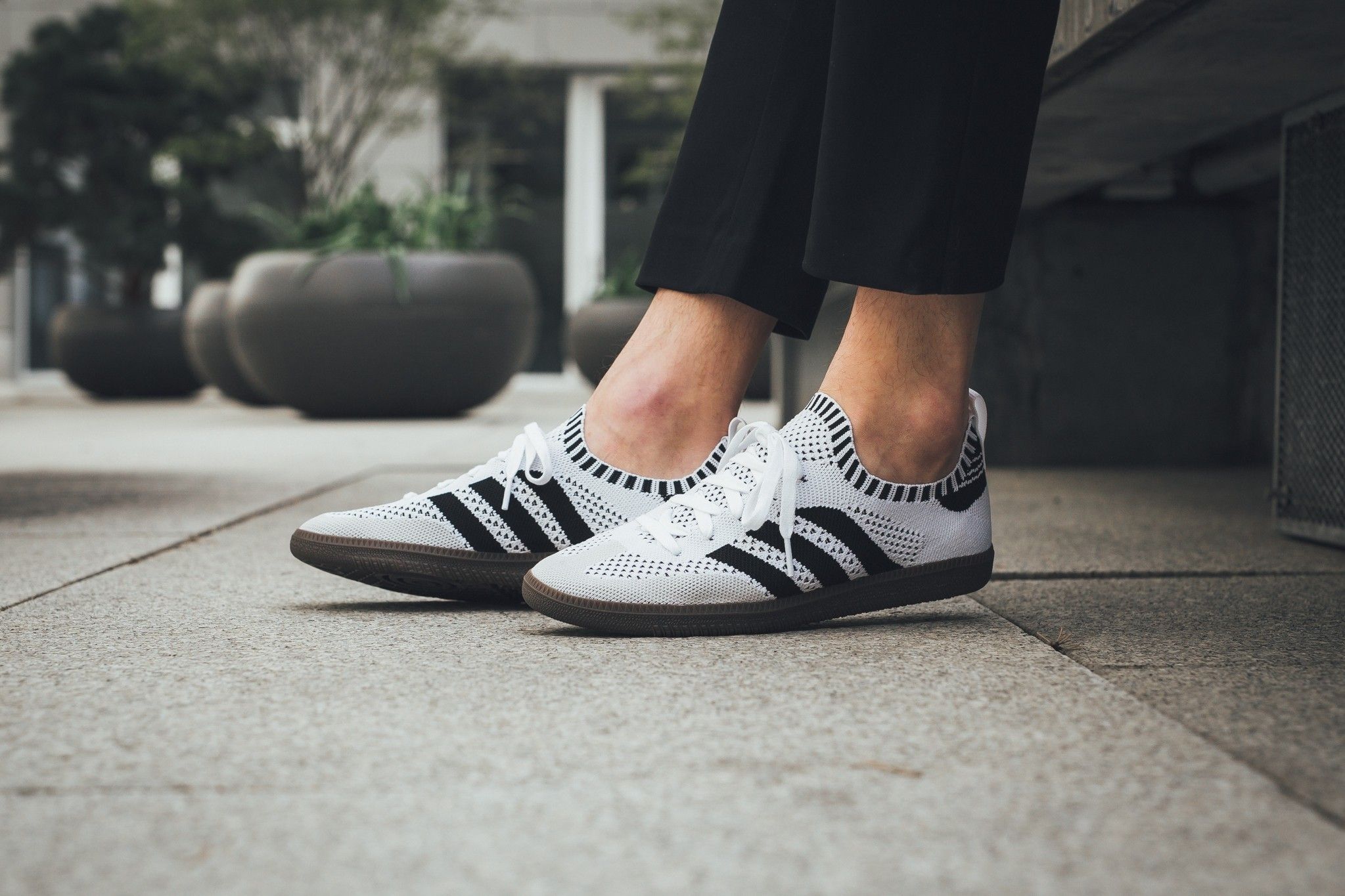 samba sock primeknit shoes white