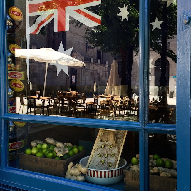 coctel-delic-koala-10