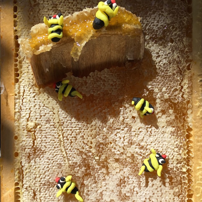 coctel-delic-koala-8