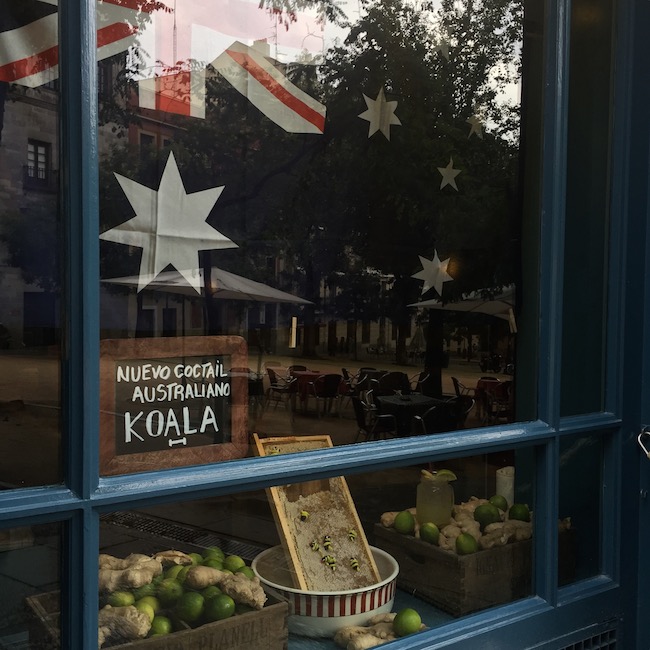 nuevo-coctel-delic-koala-1