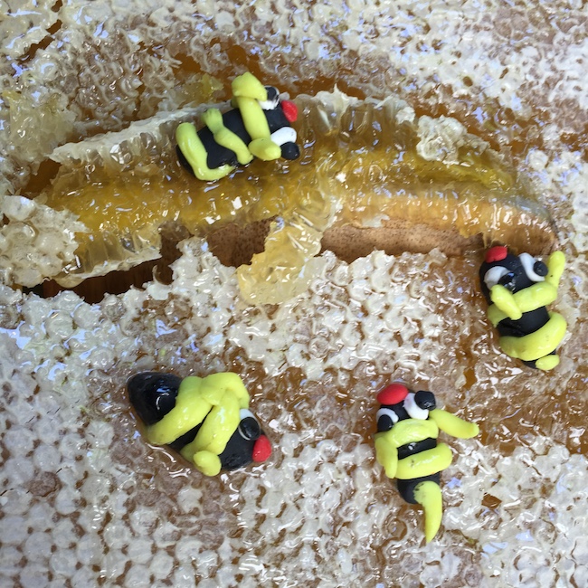 nuevo-coctel-delic-koala-3