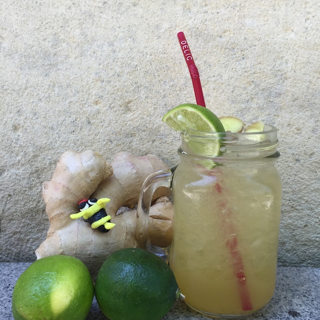 nuevo-coctel-delic-koala-5