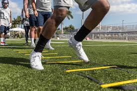 nike alpha menace pro mid cleats